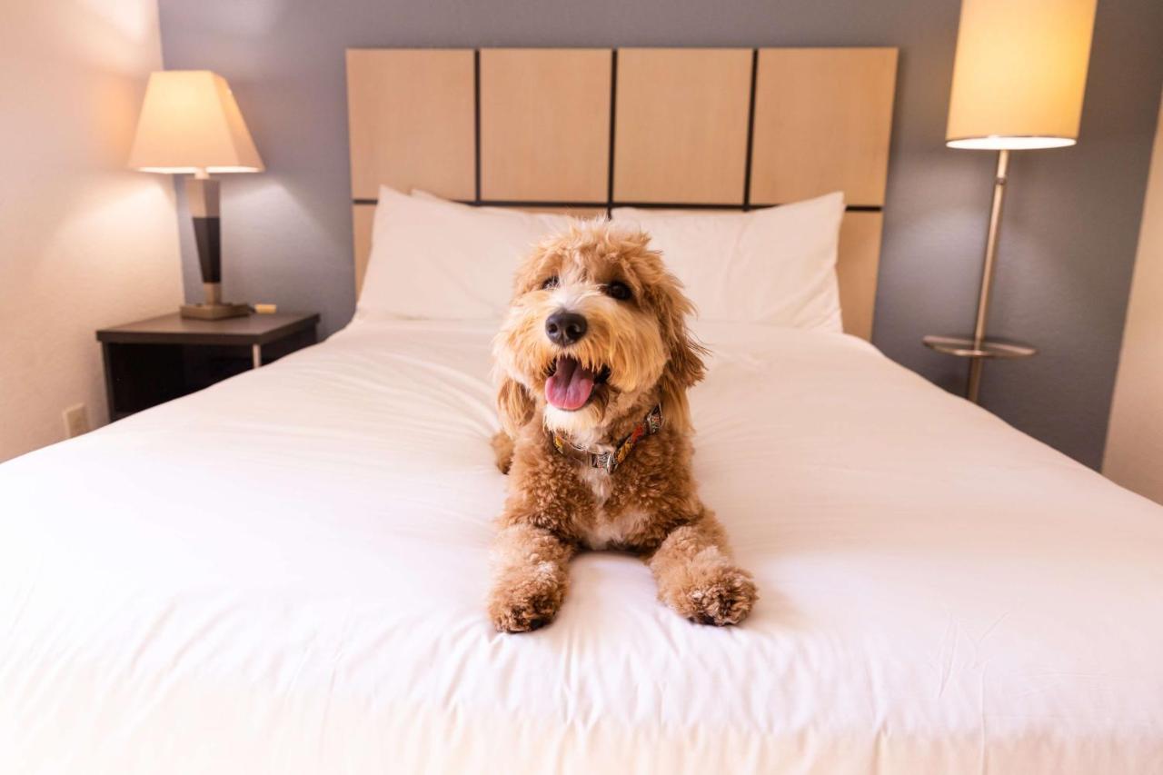 Sonesta Simply Suites Chicago Libertyville Exteriér fotografie